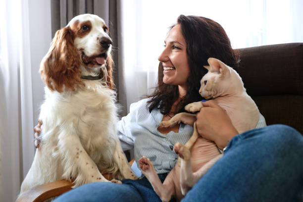 A woman lies on a sofa with a cat and a dog. Love for pets concept A woman lies on a sofa with a cat and a dog. Love for pets concept. lady dog stock pictures, royalty-free photos & images