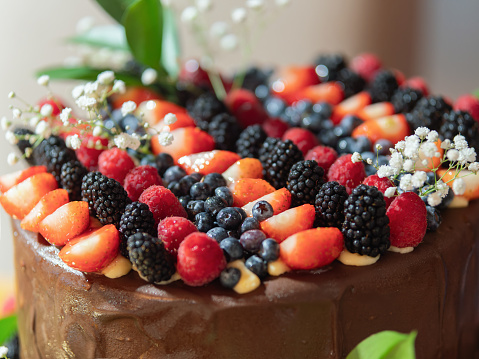A close-up of a chocolate cake adorned with fresh berries and small white flowers.