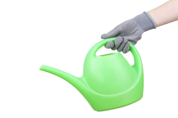 istock Hand in glove holding green watering can on white background 2148257935