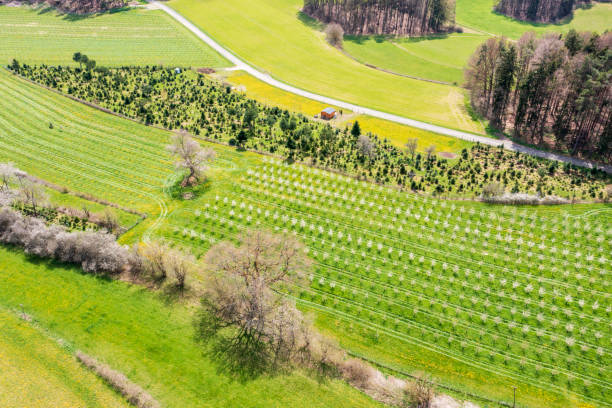 istock Spring in Franconian Switzerland/Germany 2148259873