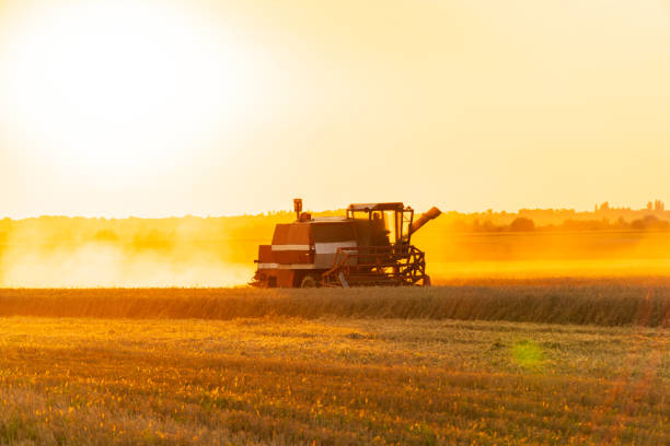 istock Agricultural harvester on a wheat field. Rural landscape 2148260117