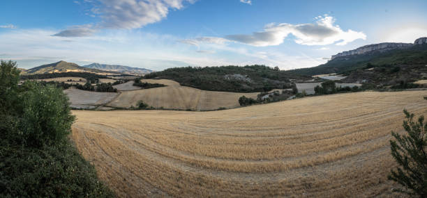 istock beautiful landscape in galdeano, navarra, spain 2148260410