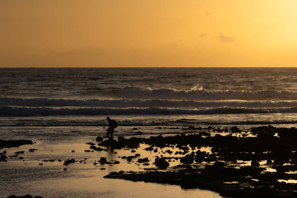 There is some of photos which I took during my two weeks stay on Tenerife