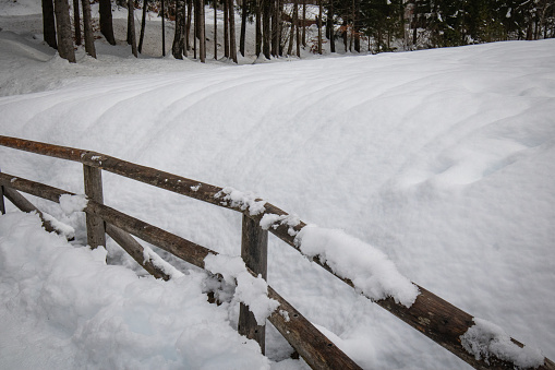 wooden snowy fence in the forest