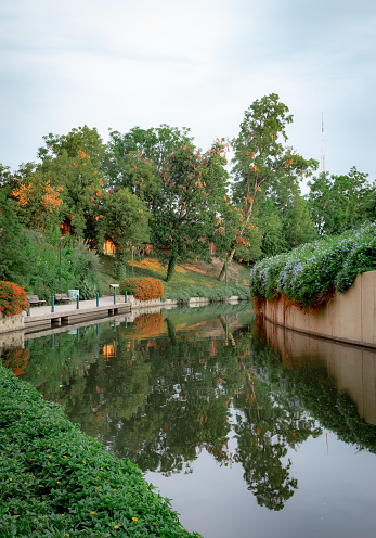 Green trees reflection along the San Antonio Texas riverwalk on a cloudy day