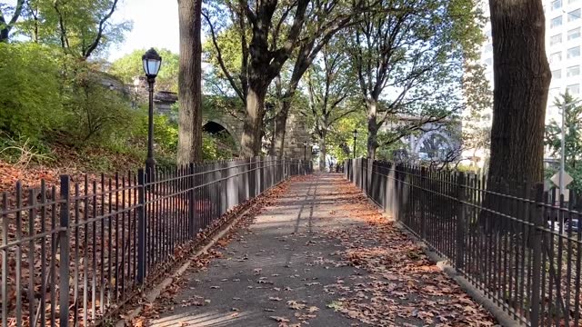 Walking down a curving park path in New York City in the fall