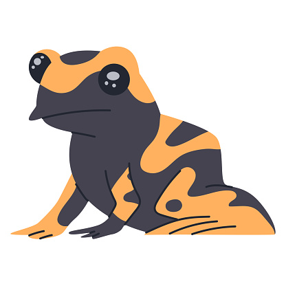 Cute yellow poison dart frog vector cartoon illustration isolated on a white background.