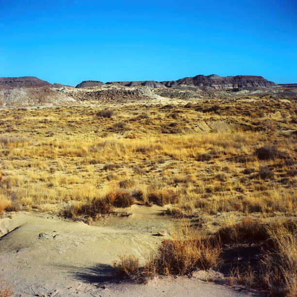 istock Alien Landscape Petrified Forest National Park Arizona 2148269150
