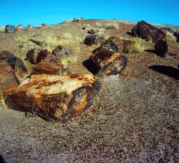 istock Alien Landscape Petrified Forest National Park Arizona 2148269194