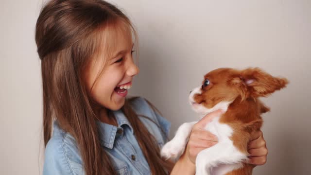 Happy girl rejoices at her new pet, holding funny Cavalier King Charles Spaniel puppy in her arms, he licks her nose. Best friend for children, friendship between animal and human, caring for pet.
