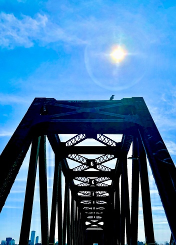 Repurposed railway bridge with a raven catching some rays on a bright spring day.