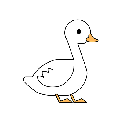 Cute duck isolated on white background. Vector illustration.