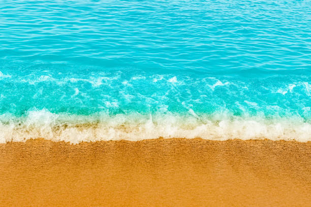 blue sea wave,golden sand beach,white foam,turquoise ocean water.close-up.summer holidays concept.tropical island vacation backdrop,tourist travel banner design template, copy space. - 13590 foto e immagini stock