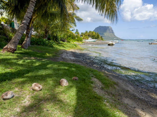 istock View of Le Morne Brabant mountain from La Gaulette, Mauritius 2148276466