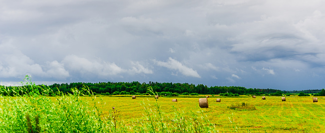 Agricultural farmland fields in gorgeous green valley surrounded by forest on stormy summer day.Bad weather evening.Web banner.