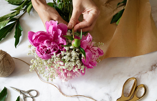 pink persian buttercup flowers in hands. Curly peony ranunculus. Empty spase