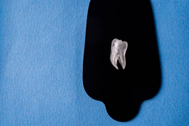 Details from a dental examining room, tooth on palette