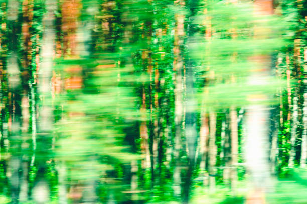 Abstract Green trees motion blurred green leaves background.