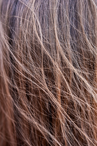 Close up brown hair texture. Stock photo
