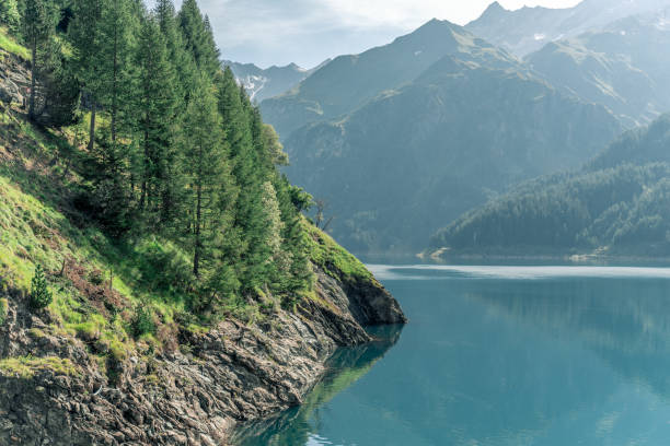 Aerial view of reservoir and forest, Verzasca dam, Lake Vogorno