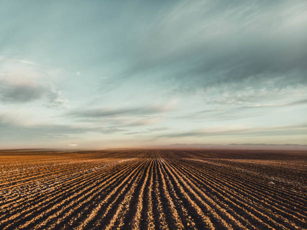 A vast, empty field with a cloudy sky in the background
