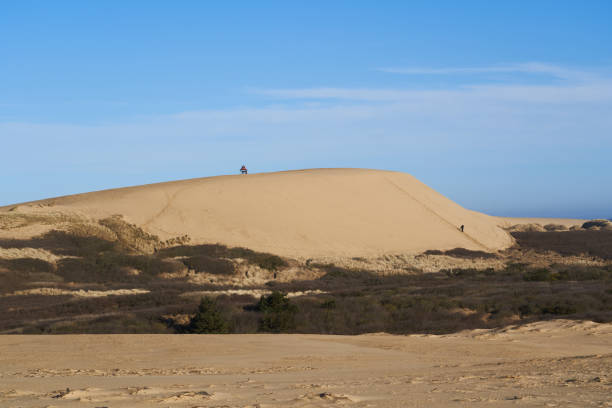Beautiful view of sand dune landscape and hill with marram grass at beach against blue sky during sunny day at Lønstrup, Jutland, Denmark