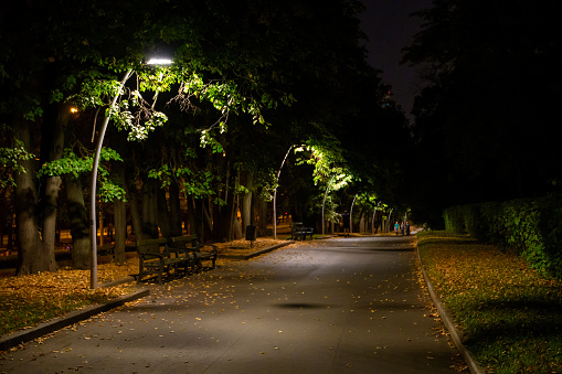Moscow, Russia - 8 Sep 2018: The serene beauty of a well-lit park path, inviting for a peaceful midnight stroll amidst the whispering trees.