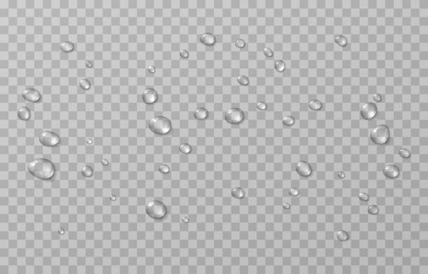 wektor spada. krople po deszczu, krople rosy. kondensacja na powierzchni lub szkle. krople na izolowanym przezroczystym tle. - kropelka stock illustrations