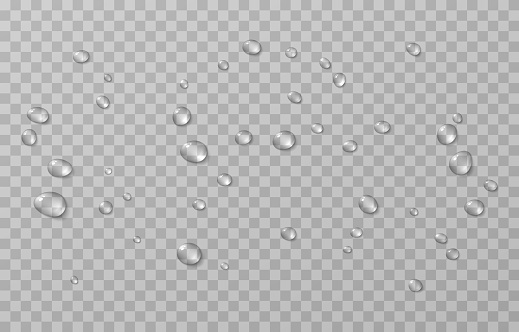 Vector drops. Drops after rain, drops of dew. Condensation on the surface or glass. Drops on isolated transparent background. Vector.