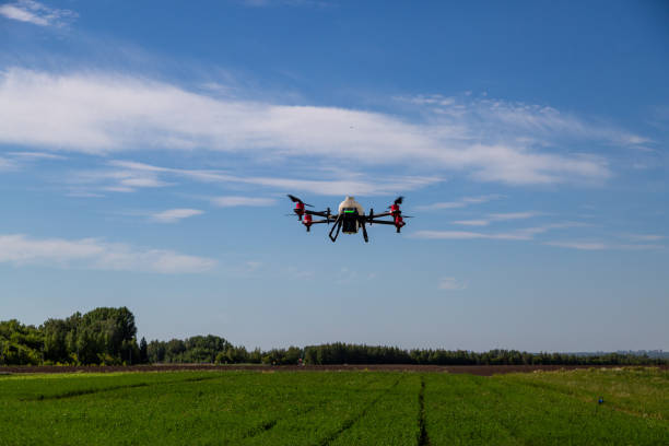 istock Agriculture drone fly to sprayed fertilizer on the fields. Industrial agriculture and smart farming 2148285769