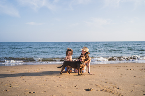 mother and son facing the sea sitting playing with a dog