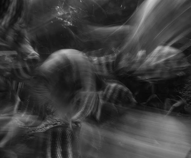 A guitar player/singer.  Slight grain added.