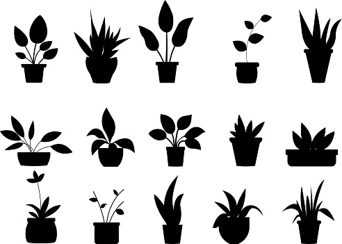 Set of different hoseplants silhouette. Vector illustration