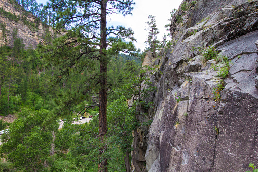 Views of Spearfish Canyon, Spearfish Canyon Scenic Byway, South Dakota