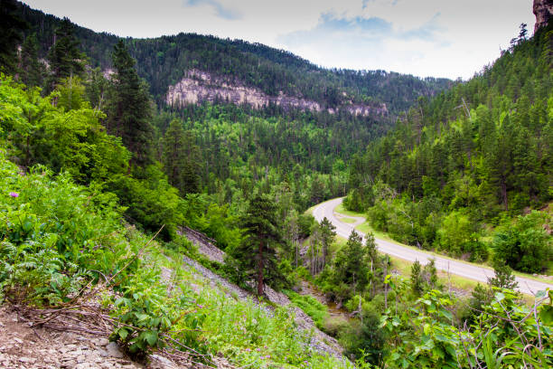 istock Spearfish Canyon in Summer, South Dakota 2148289650