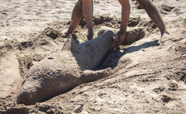 Dolphin made of sand on the beach.