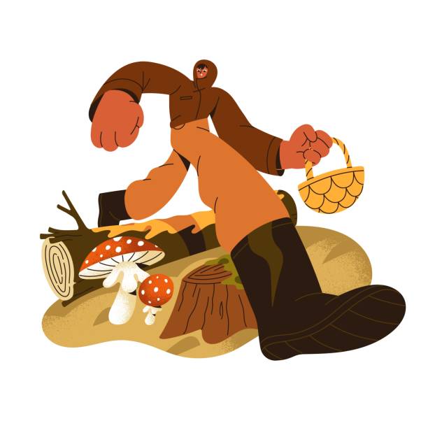 grzybiak znajduje muchomory, muchomory w jesiennym lesie. muchomor rośnie w jesiennych lasach. osoba idąca z koszykiem w ręku zbiera, zbiera grzyby. płaska ilustracja wektorowa na białym tle - grzybobranie stock illustrations