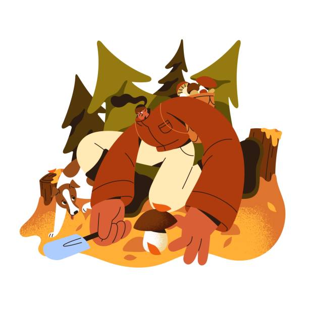 grzybiarz zbiera grzyby jadalne w lesie. dziewczyna z psem zbiera borowiki do koszyka za plecami. młoda kobieta spaceruje po lesie, zbiera podgrzybki. płaska ilustracja wektorowa na białym tle - grzybobranie stock illustrations