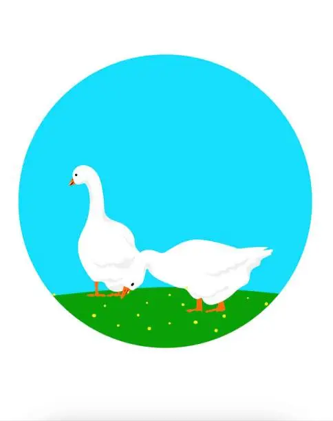 Vector illustration of Geese