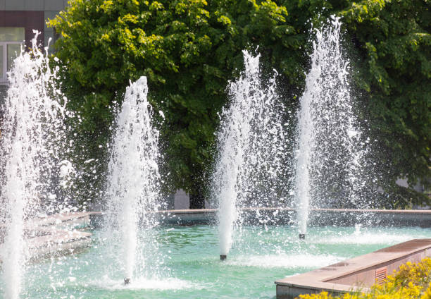 Fountain park in summer. Nature.