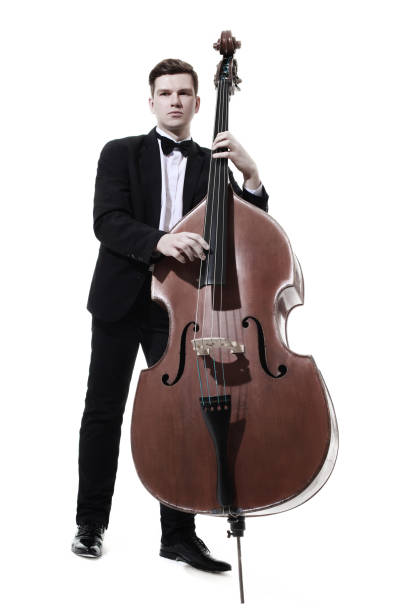 Double bass player pizzicato contrabass playing. Classic musician Jazz bassist isolated on white