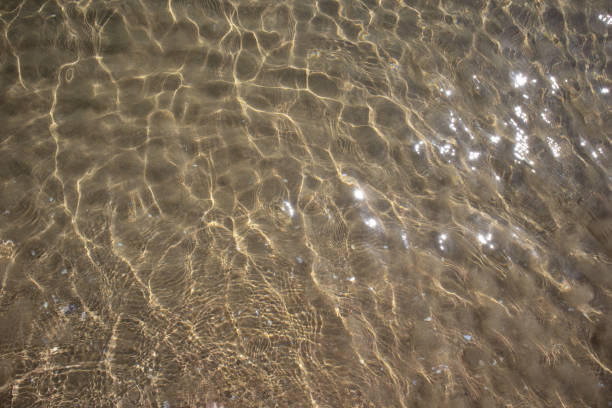 istock It is transparent with sparkles of the sun and a sandy bottom. 2148294874