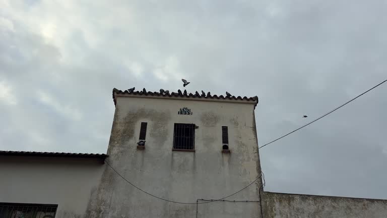 Approaching weathered structures along Spain's coastline, adorned with perched pigeon flocks, evoking a sense of timeless architectural charm.