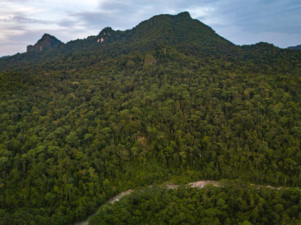 Beautiful Aerial View of Seram Island, Maluku Province, Indonesia