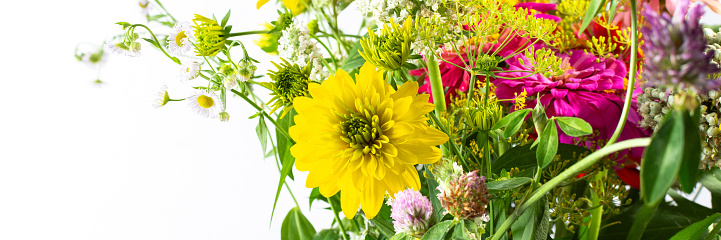 Summer bouquet of colorful Zinnia, onion inflorescences and mint sprigs, Rudbeckia Goldquelle and red clover, Ranunculus and Matricaria, home decoration with flowers banner