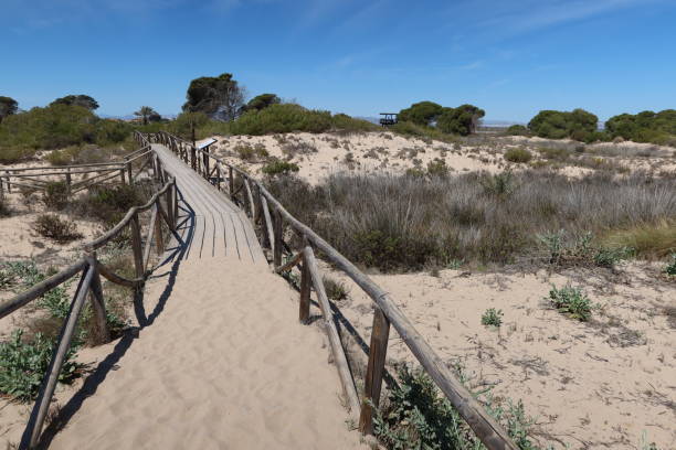 istock Salinas del Pinet, La Marina, Alicante, Spain (Creative) 2148302571