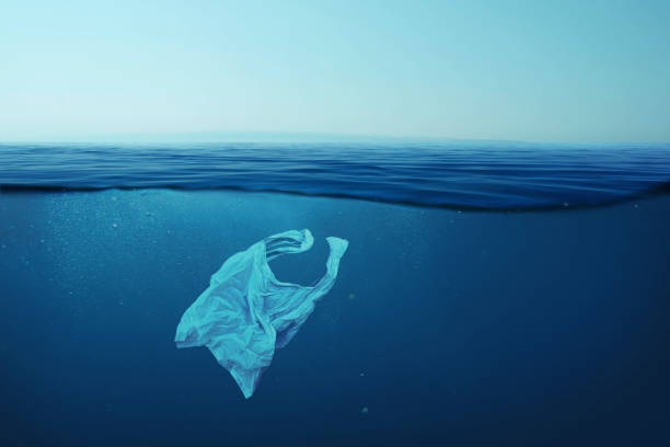 istock Creative background, plastic bag floating in the ocean, bag in the water. Concept of environmental pollution, non-decomposable plastic, increased debris in the world's oceans. Plastic pollution in sea 2148303159