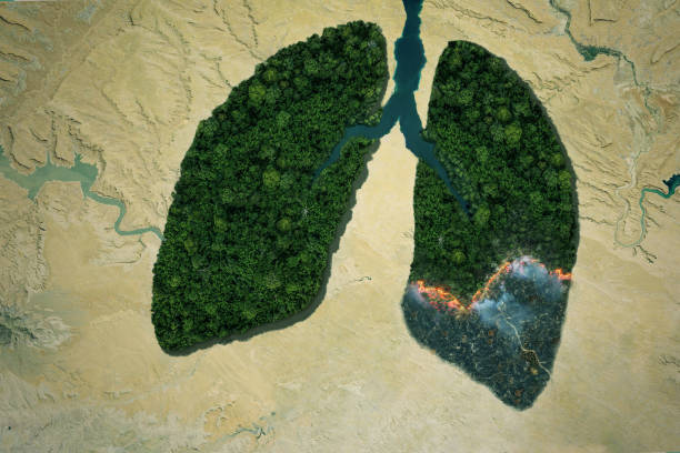 istock River and green forest lungs with fire in the desert. Global warming concept. Burning forests and polluting the environment. Pneumonia idea 2148303476
