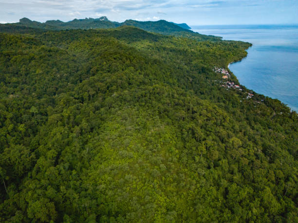 istock View of Seram Island, Maluku Province 2148303739