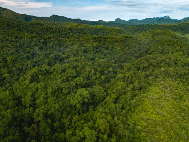 istock View of Seram Island, Maluku Province 2148303743